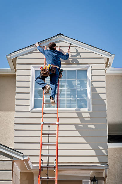 Best Aluminum Siding Installation  in Daisetta, TX